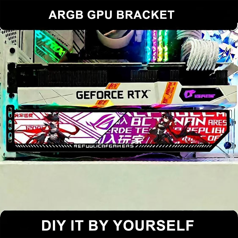 Pas RGB VGA-houder aan 5V / 12 - Gaming Card Holder recensie en prijs